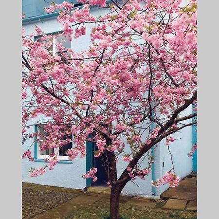 Albion Cottage كوكيرماوث المظهر الخارجي الصورة