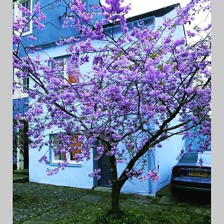 Albion Cottage كوكيرماوث المظهر الخارجي الصورة