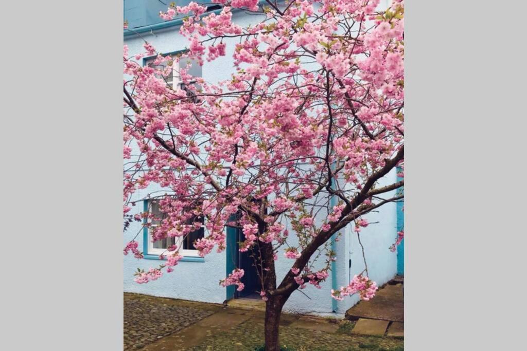 Albion Cottage كوكيرماوث المظهر الخارجي الصورة