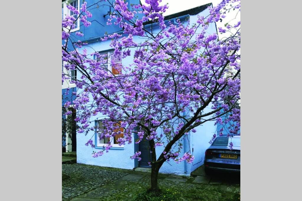 Albion Cottage كوكيرماوث المظهر الخارجي الصورة